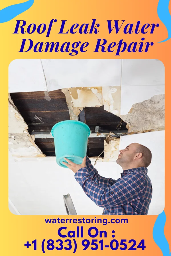 Roof Leak Water Damage Repair in Beryl Junction, UT